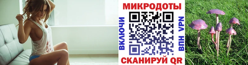 Купить  Сарапул  Псилоцибиновые грибы Psilocybe 